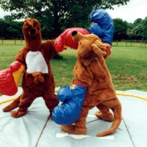 Kangaroo Boxing