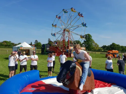 Rodeo Bull Hire